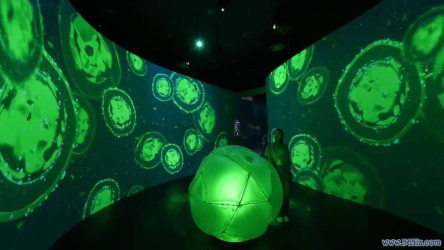 跨越46亿年 《重返海洋》科学艺术展于国家海洋博物馆开幕